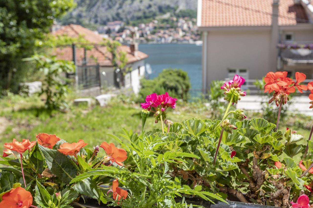 Muo Sea Front Apartments Котор Екстериор снимка